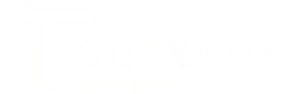 Tonex logo white